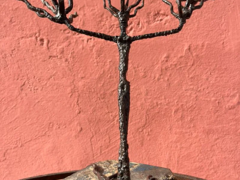 Karaba la sorcière